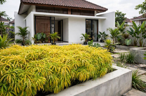 tanaman hias taman